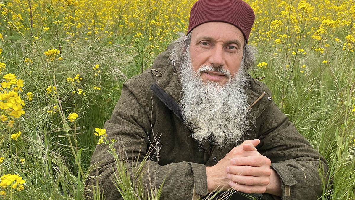 Flower Head Reggae Angels Remember Our Creator álbum crítica