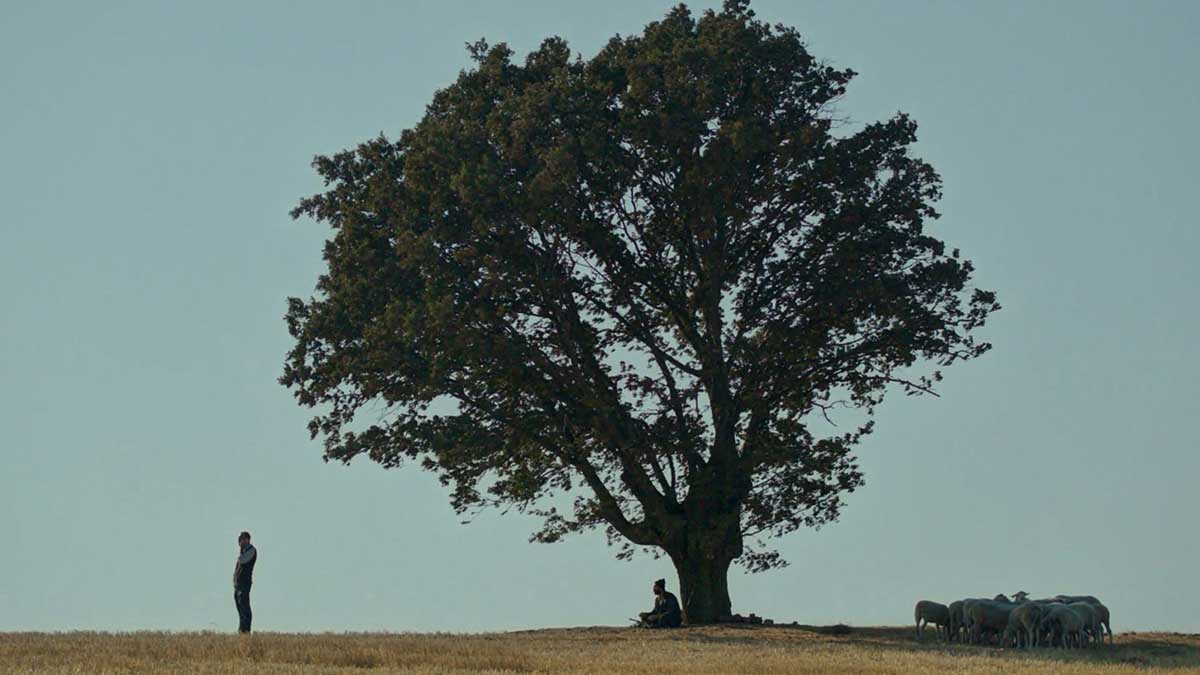 O Compromisso de Hasan crítica do filme Mostra de SP 2021