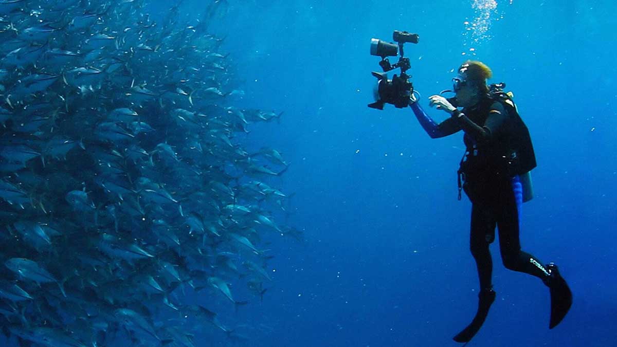 Quem Fomos crítica do filme mostra de sp 2021