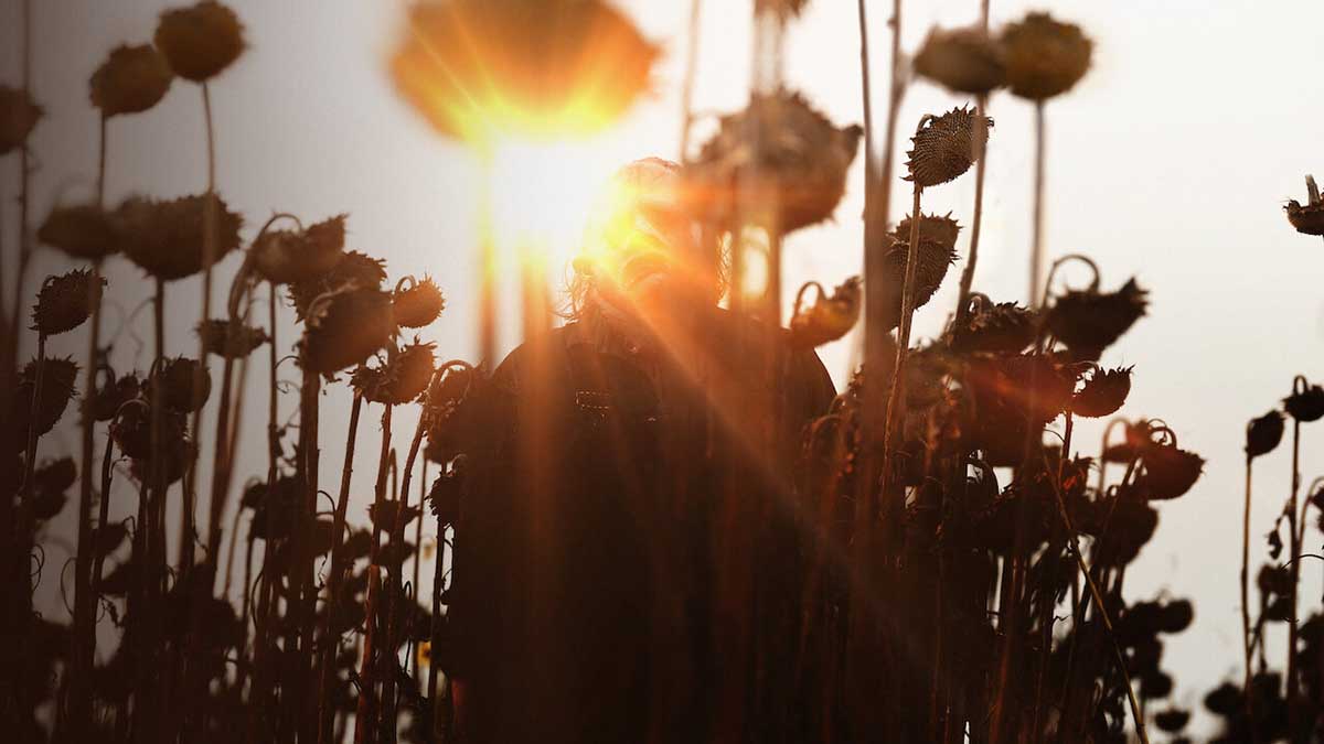 O Massacre da Serra Elétrica O Retorno de Leatherface crítica do filme Netflix 2022 onde assistir elenco